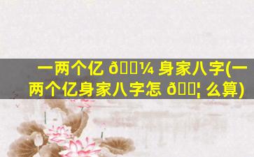 一两个亿 🌼 身家八字(一两个亿身家八字怎 🐦 么算)